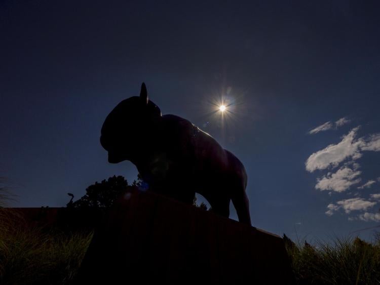 Ralphie statue silhouetted by an eclipsed sun