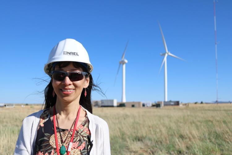 Rising Tree Wind Farm