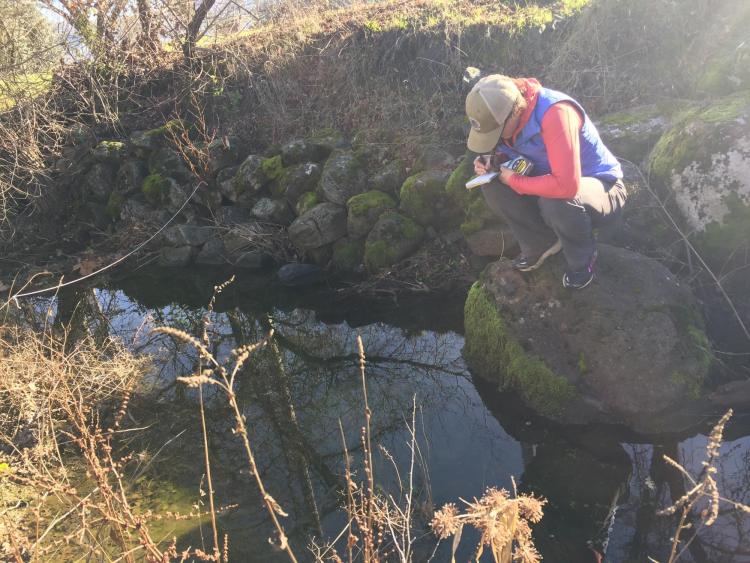 Anna Hermes takes water samples