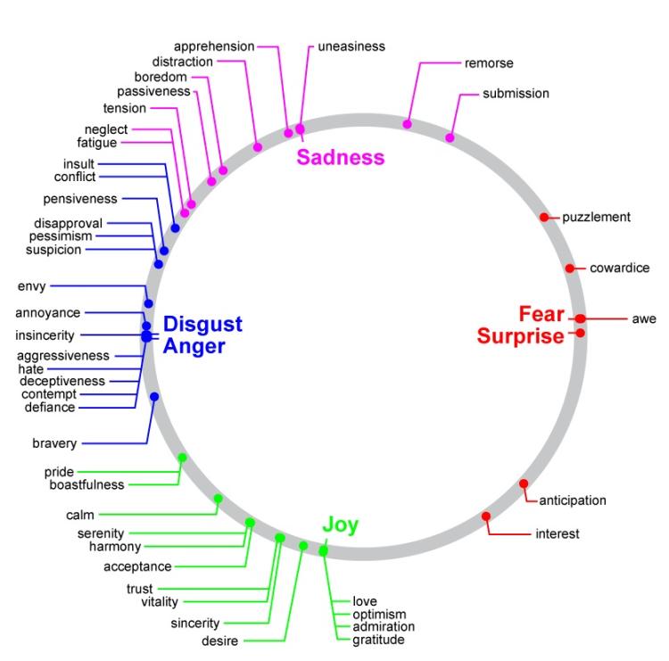 Facial expressions map