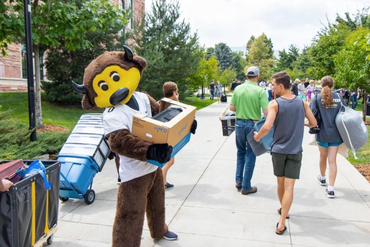 Chips helps during move-in 2018