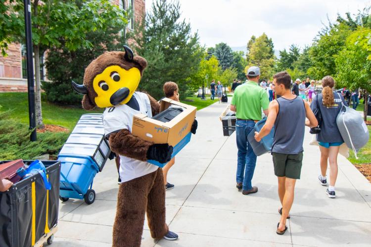 Chips helps during move-in 2018