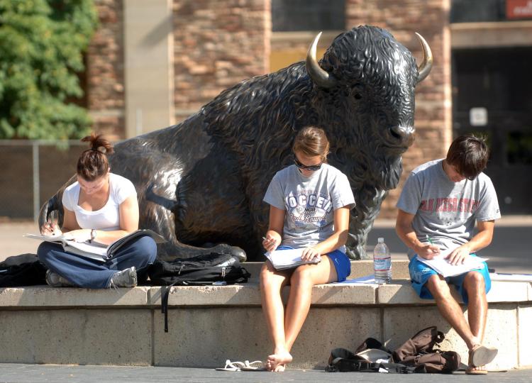 students studying, sitting near buffalo statue