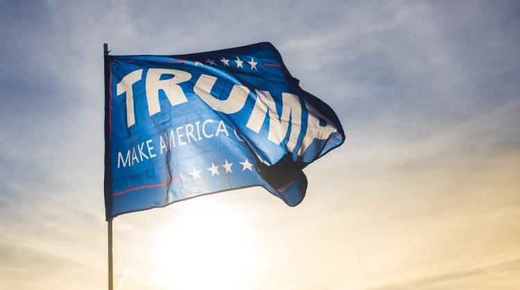 Blue Trump flag flying