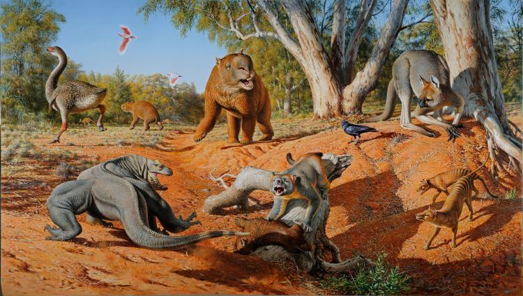 an illustration showing various australian megafauna