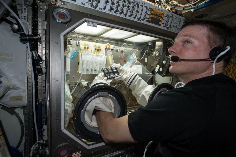 NASA astronaut Terry Virts manipulating a BioServe experiment on ISS. 