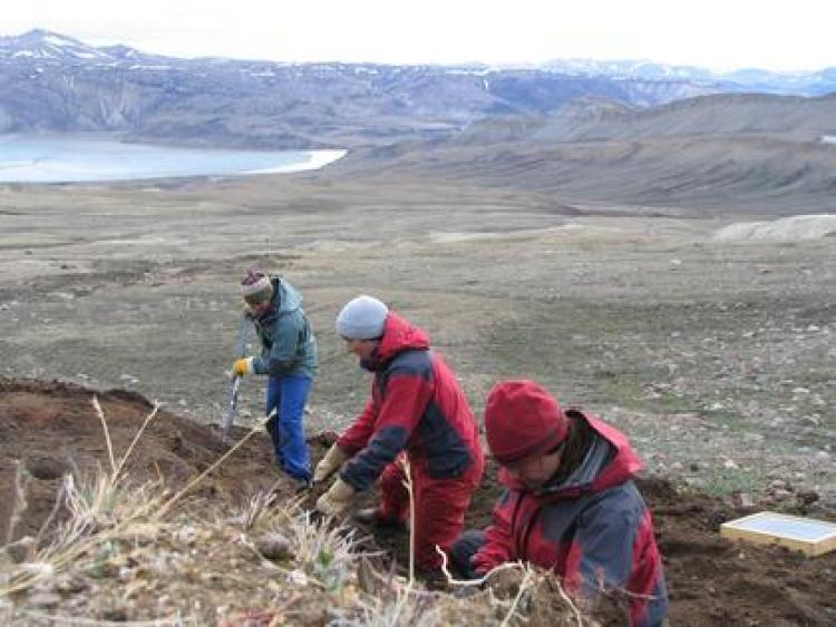 People looking for fossils in a peat deposit