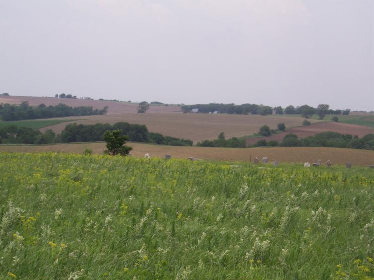 Konza Prairie