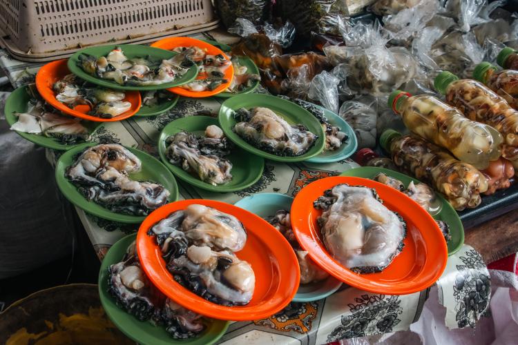 Giant clams sold at a seafood market in Malaysia