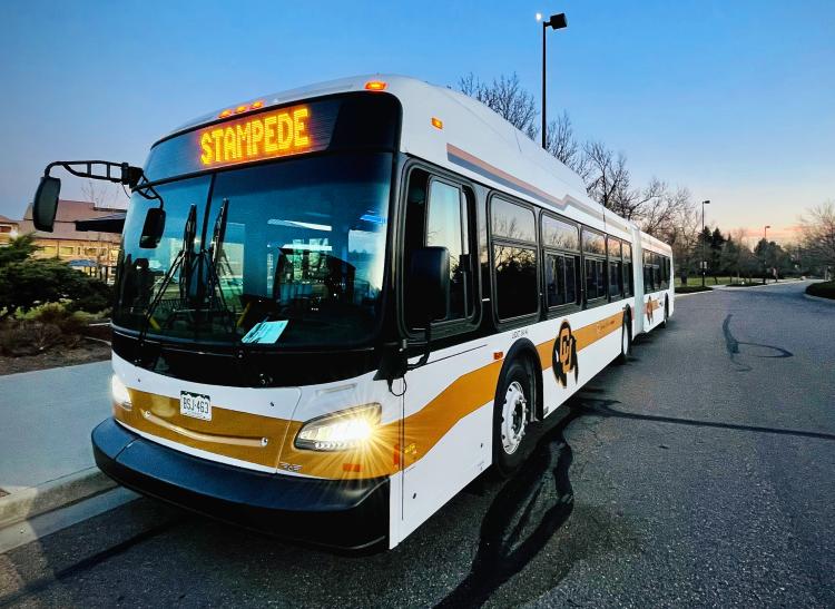 Buff Bus