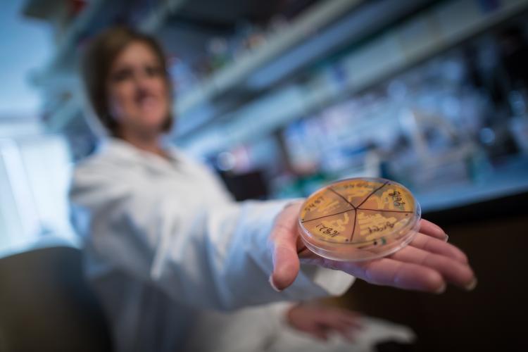 June Round holds a sample in the lab