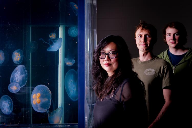 Woman and two men stand next to aquarium with jellyfish