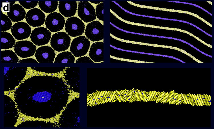 Simulated hexagons and stripes with two different cells