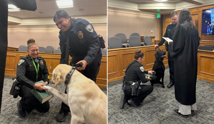 K-9s Harlo (left) and Dax (right) being sworn in