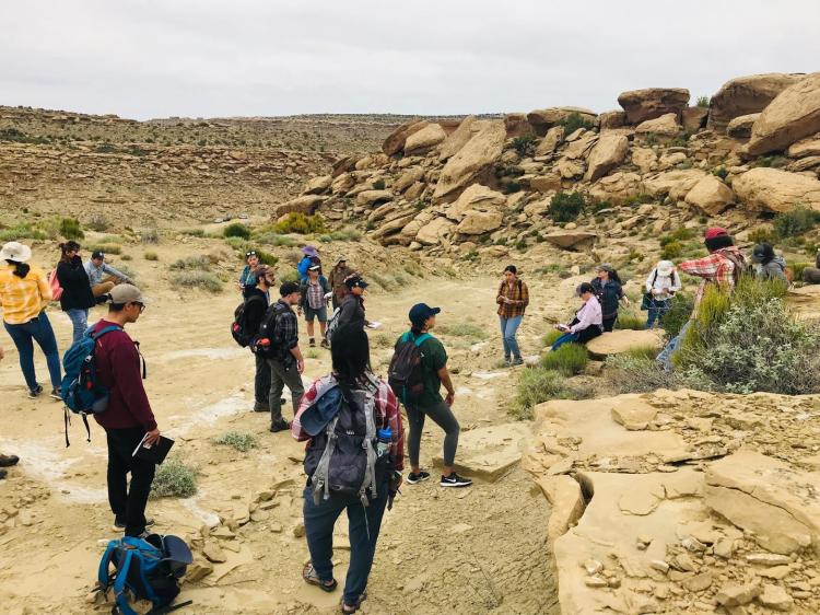 Students explore field sites