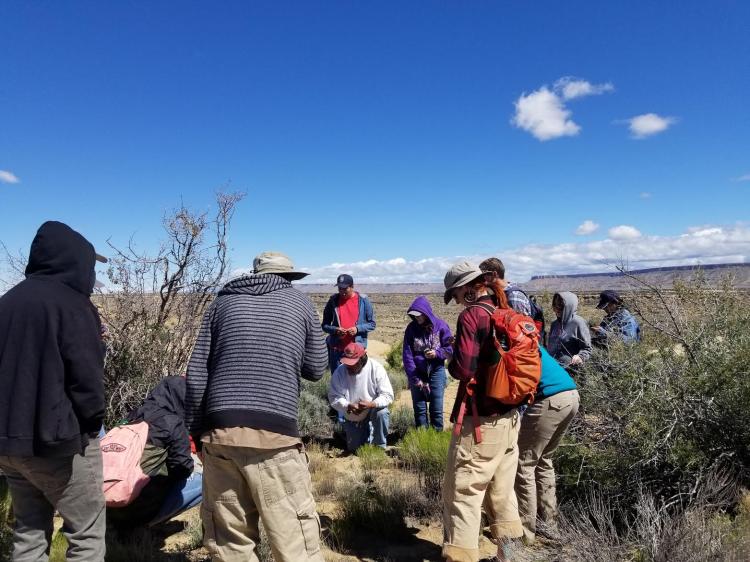 Students explore field sites