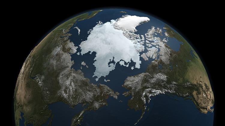 global arctic sea ice