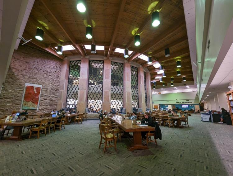 Students studying in Norlin Library