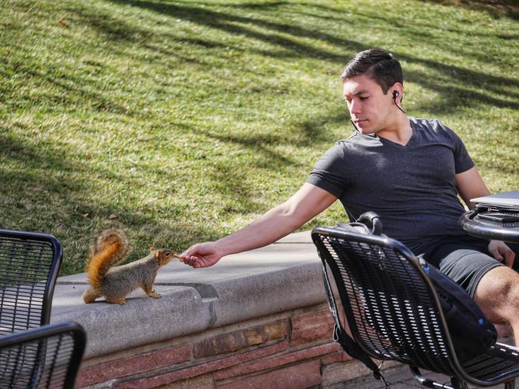 Senior Alex Elnagdy shares a peanut with a squirrel on campus. Photo by Glenn Asakawa.