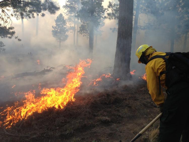 wildfire