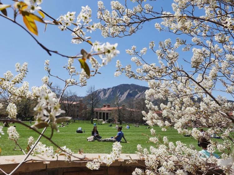 Basking Buffs enjoy the sun and warmth at Farrand Field on a beautiful day on the CU Boulder campus. Photo by Glenn Asakawa.