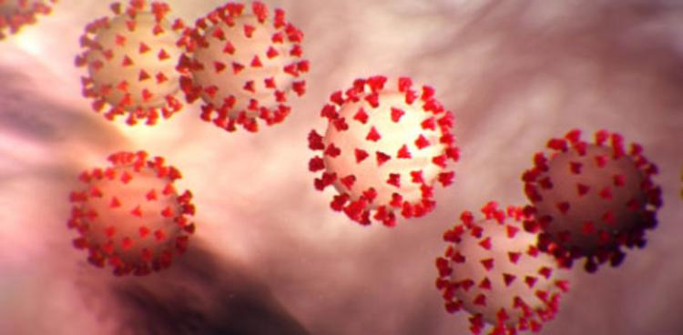 Covid 19 virus