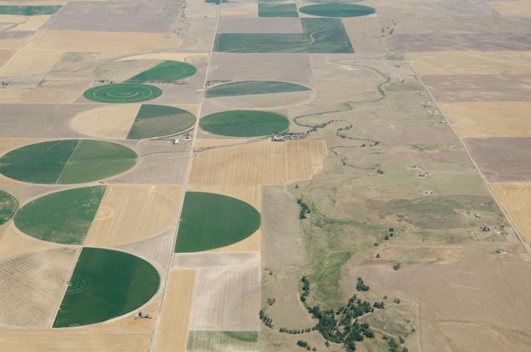 Crop circles on Colorado farmlands