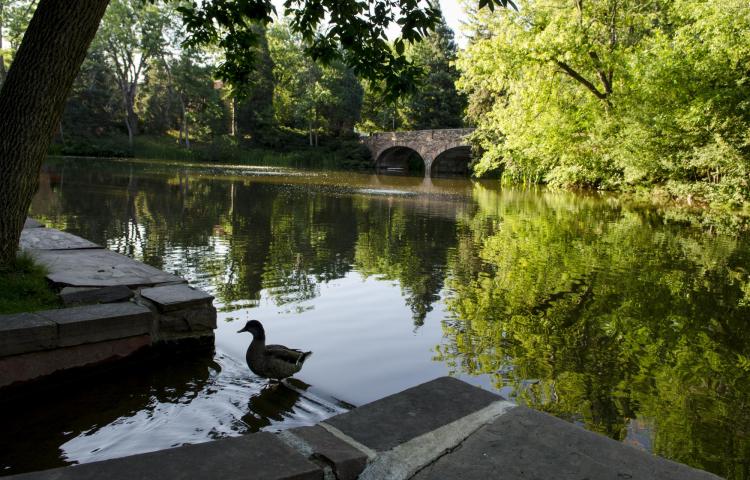 Varsity Lake. (Photo by Glenn Asakawa/University of Colorado)