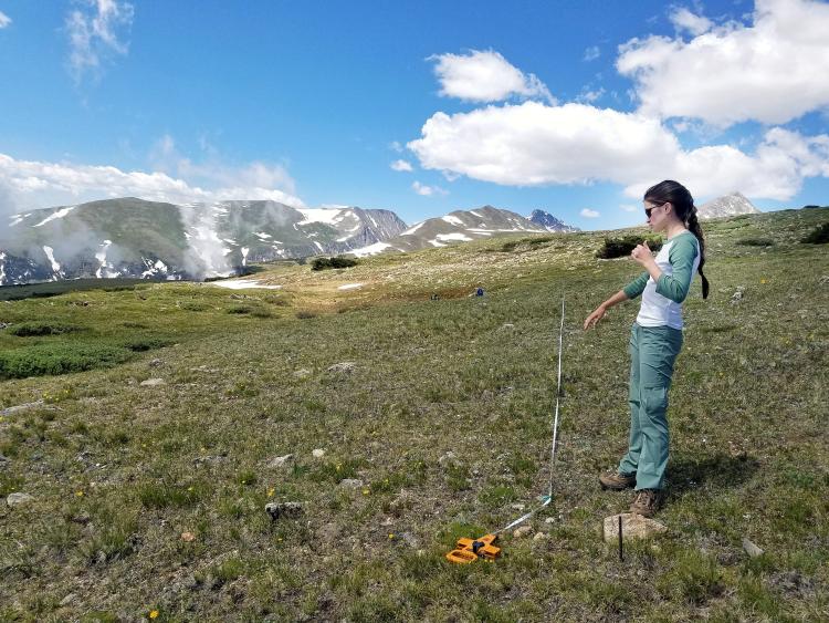 Student Grace Kendziorski measures out a plot on Niwot Ridge