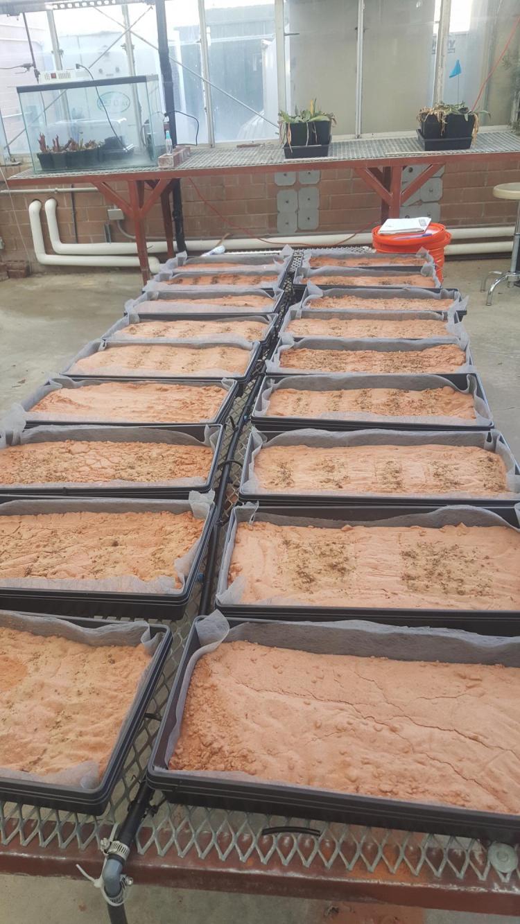 Biocrust research