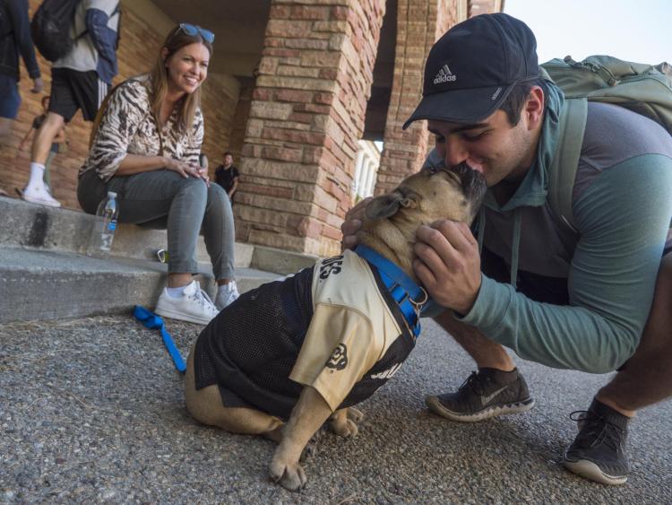 Student kissing bulldog on campus