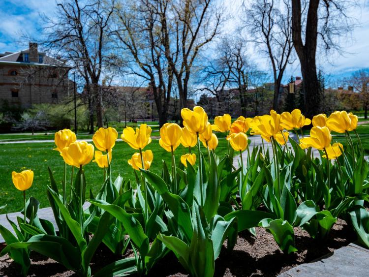BVSD updates calendar to match CU Boulder spring break dates CU