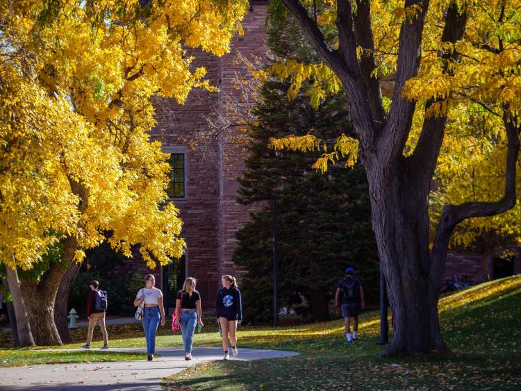 Students walking on campus