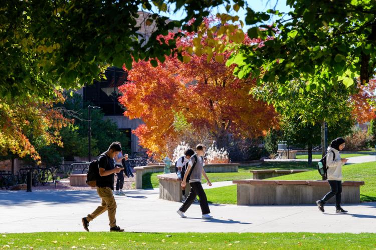 students walking on campus