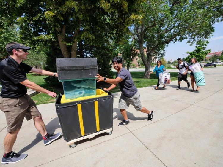 Som Aryal pushes a moving cart to help his son,Sohan Aryal, a freshman mechanical engineering major from Aurora, right, move in to Hallett Hall. Sohan also got help moving from his sister, Suhani, and mother Merina and volunteer David Schofield. (Photo by Glenn Asakawa/University of Colorado)