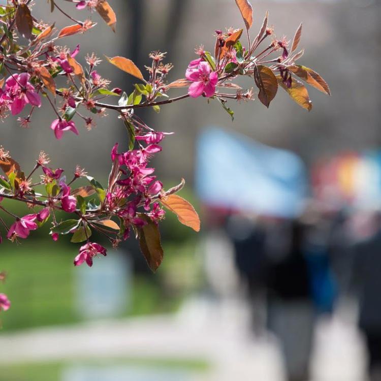 From @cwaboulder on Instagram: Spring is in the air and CWA is one month away!