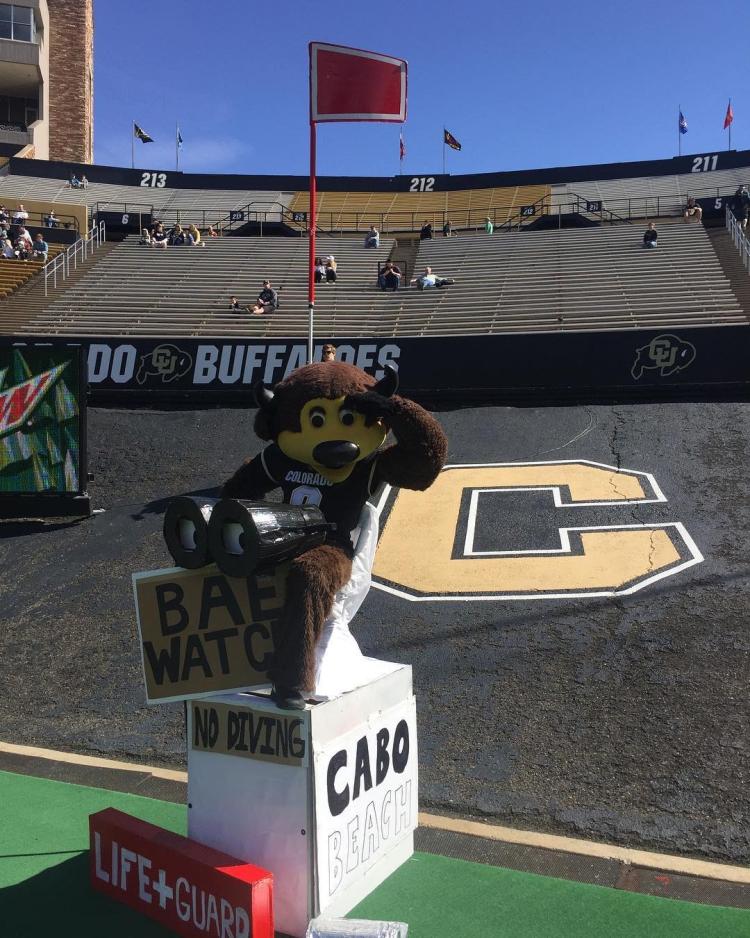 From @chipthebuffalo Instagram: Hope everyone's having as good of spring break as I am! Wear sunscreen. No diving.