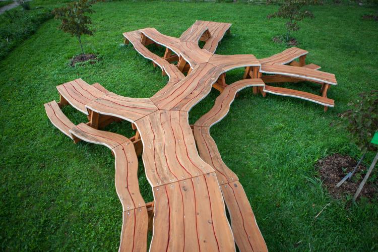 Tree Picnic by Michael Beitz