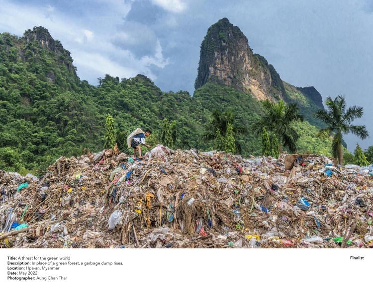 In place of a green forest, a garbage dump rises.