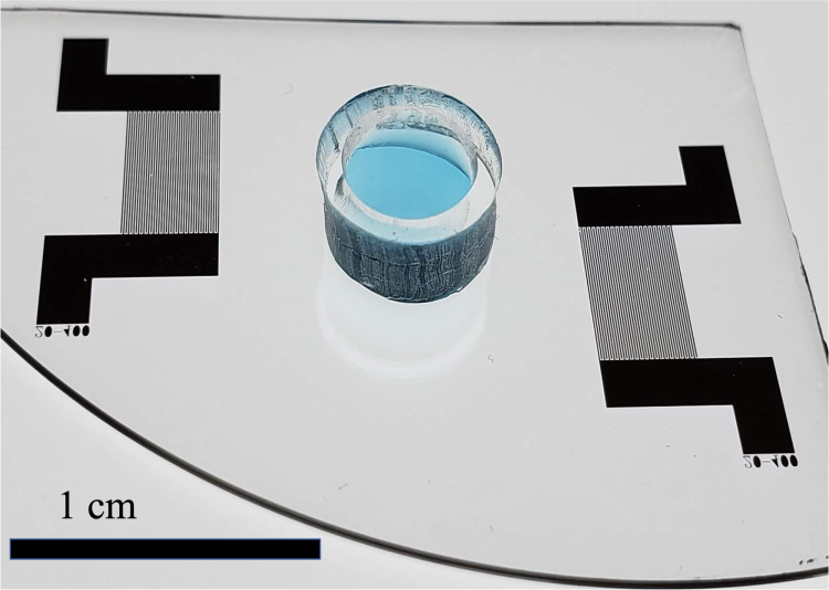 Photo of Acoustic Gym on a clear chip with a 1 centimeter-long bar for scale