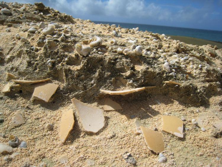 Ancient eggshells in sand