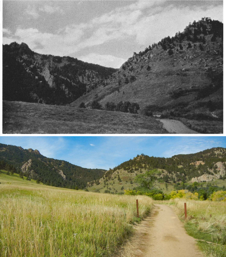 Two pictures of Gregory canyon