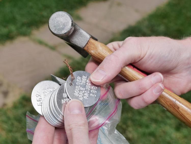 Tags used to mark apple trees