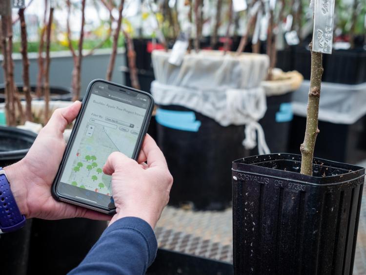 Using the online map
