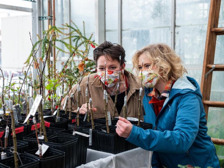 Two students examine plants