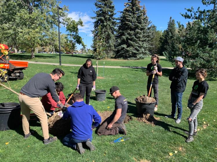 CU community members planting trees in observance of Arbor Day