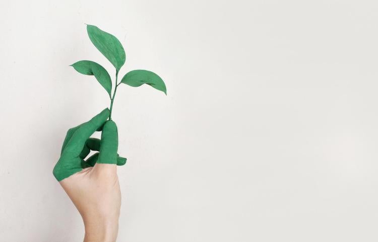 Here are a few tips to help with building sustainable habits this year.
