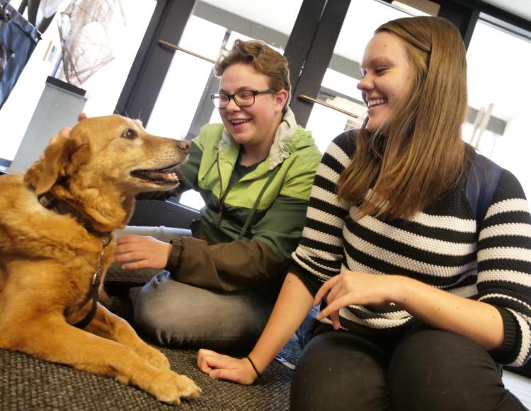 Students pet therapy dog in the Music Library
