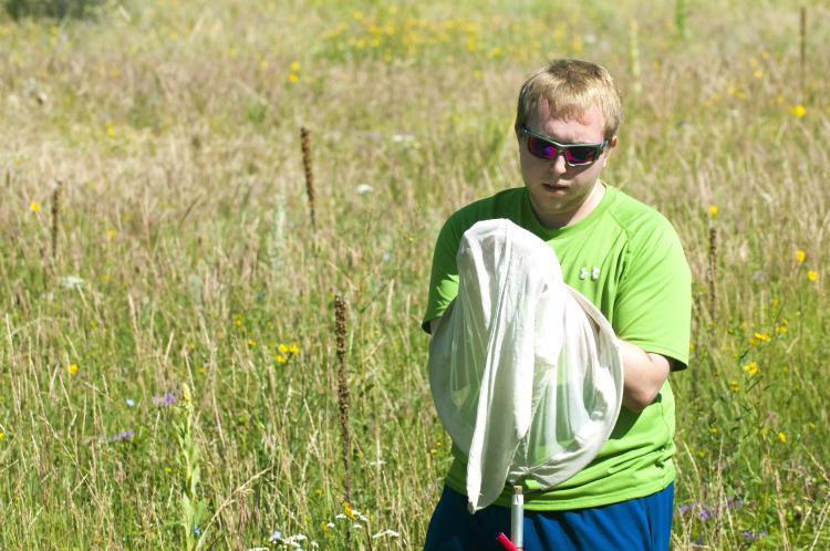 Benjamin Bruffey looks at a bumblebee he has caught in a net. (Photo by Patrick Campbell/CU Boulder)
