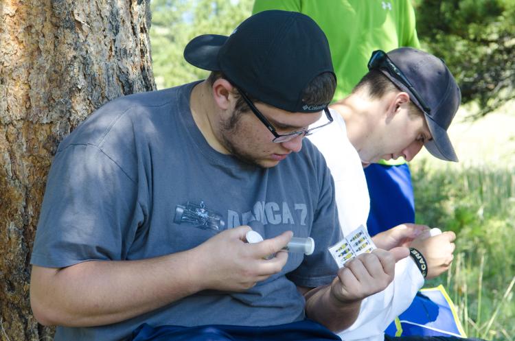 Cole Steinmetz uses a key to identify the type of bumblebee he has caught. (Photo by Patrick Campbell/CU Boulder)